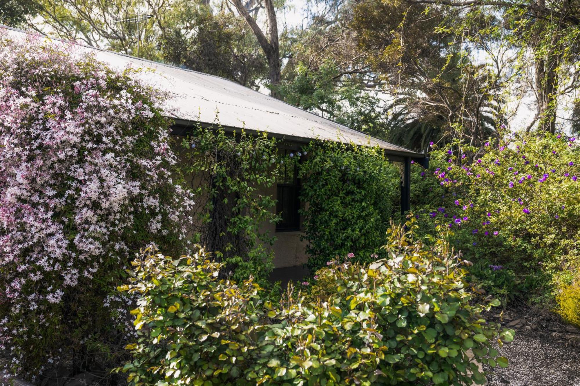 Jasmine'S Barossa Valley Cottage Lyndoch エクステリア 写真