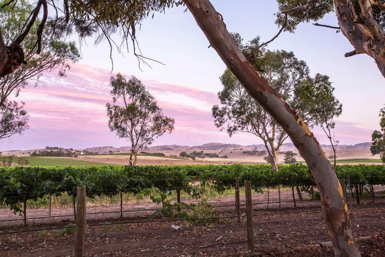 Jasmine'S Barossa Valley Cottage Lyndoch エクステリア 写真